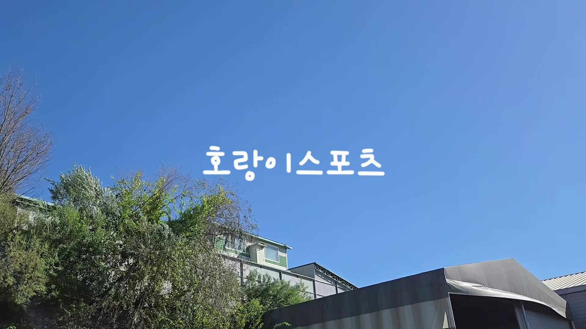 선수용높이뛰기매트.. : 네이버 블로그